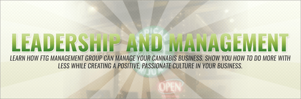 cannabis business consulting