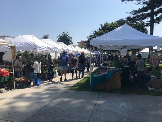 Downtown Oxnard Farmers Market