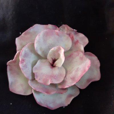 Gumpaste Succulents for your cake decorating needs