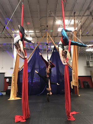 Aerial Silks and Lyra