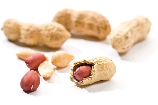 Peanut allergy testing Gainesville, FL - Accent Allergy & Sinus Center (352) 271-5389