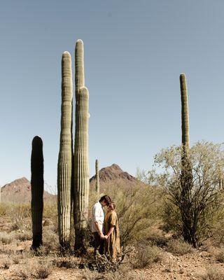 Tucson Engagement Photographer. Saguaro National Park