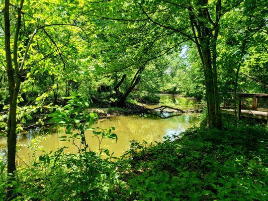 View of River from Boardwalk in Trestle Park