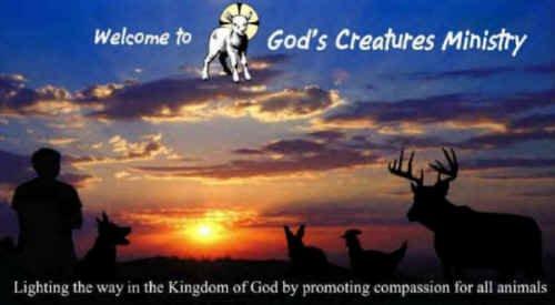 God's Creatures Ministry