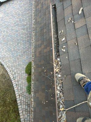 JVR Waterproofing, pigeon Removal and Gutter Cleaning