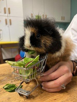 Our lovely Debs having her afternoon snack