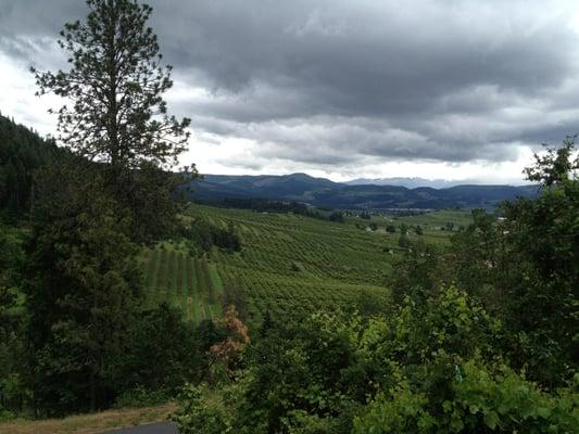 View from roof deck. Orchards below, Mt Hood afar