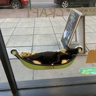 Catnip Cat Cafe