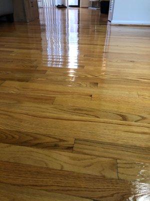 Super clean floors. Looks like new hardwood!