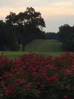 Nice view from the club house