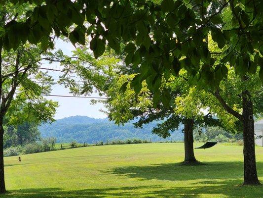 View from picnic area