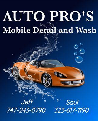 Auto Pro's Mobile Detail