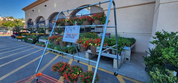 The garden section at this location is my favorite.