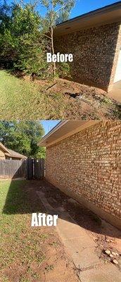 Before and After, removal of trees and shrubs.