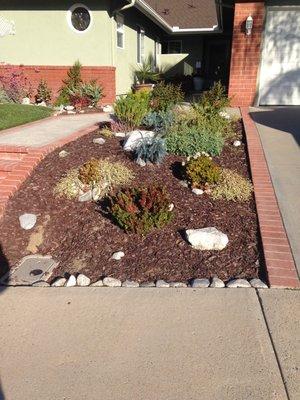 Drought tolerant plants - beautiful!