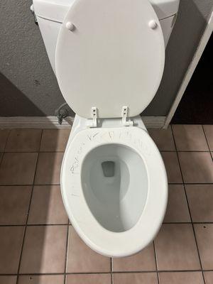 Nasty toilet