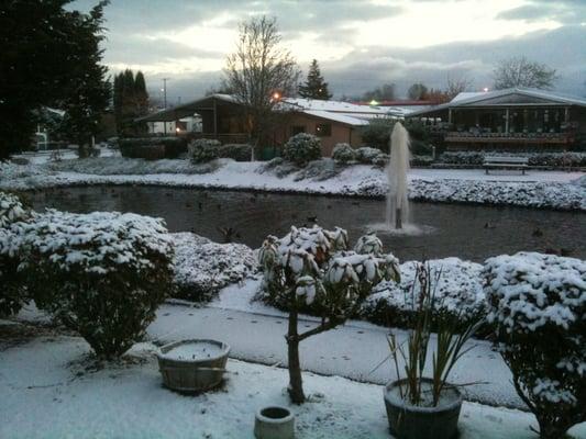 Winter Fountain