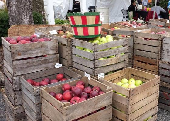 Apples from Michigan fruit vendor.