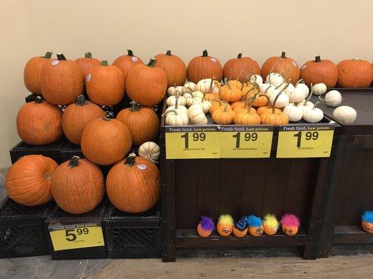 Pumpkins on sale!