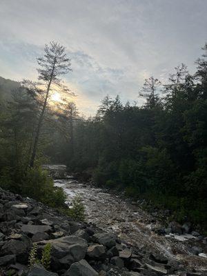 Mohawk Trail State Forest