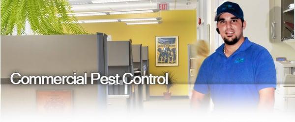 Pest Doctor