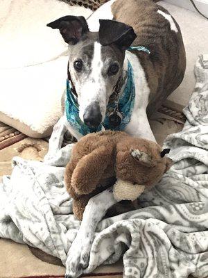 Artie with his favorite Teddy!