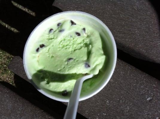 Chocolate Chip Mint from Karen's