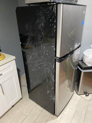 This is the condition the fridge was left in after forcing it down the stairs of my apartment