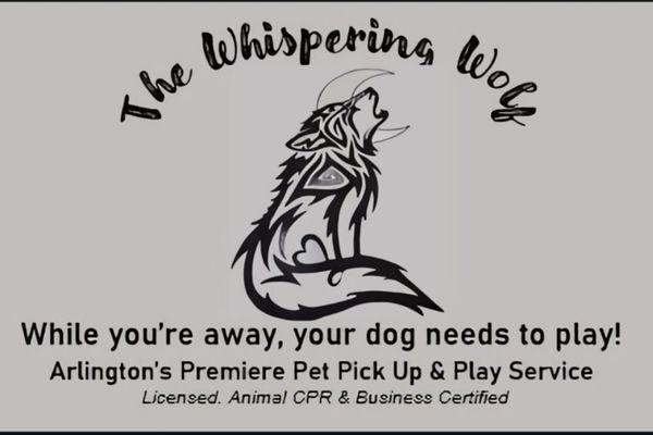 Arlington's premier doggie pick-up and play service.