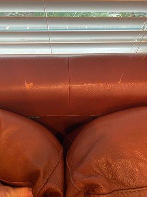 just one of five damaged areas on my sofa.