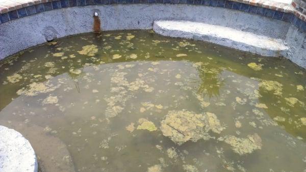 Disgusting, uncompleted pool