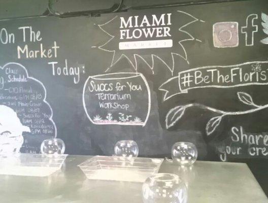 all ready for terrarium class at Miami Flower Market