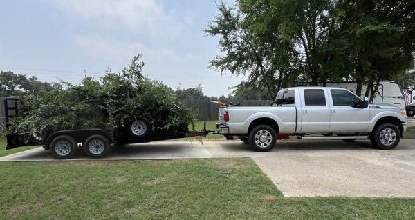 Trimming around RV park with all brush hauled off!