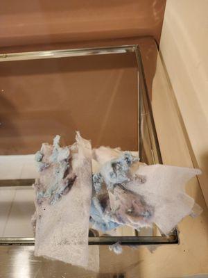 lint etc out of the dryer - because there is no lint remover!