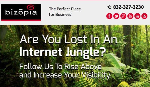 It's a JUNGLE out there! Are you lost when it comes to online marketing? CALL US!