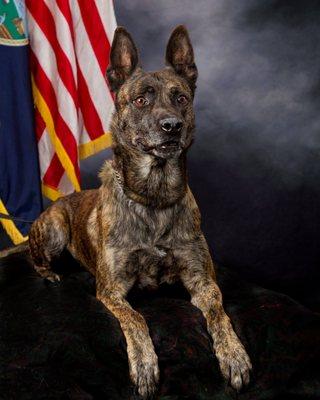 R.I.P. Diesel - veteran K-9