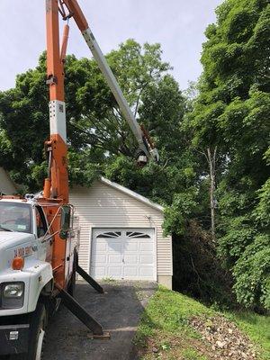 Tree fell on garage due to high winds