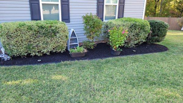 All clean, and mulch  put down.