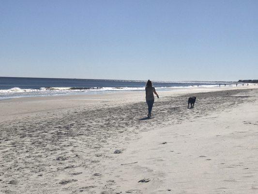 Dog walking in Pawleys Island!