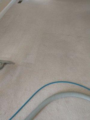 Safe Clean Carpet Care