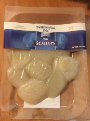 Wild Scallops