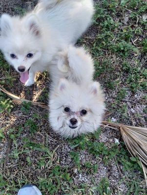 We got a little dirty playing at the park!!