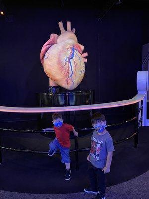 Kiddos w the active heart