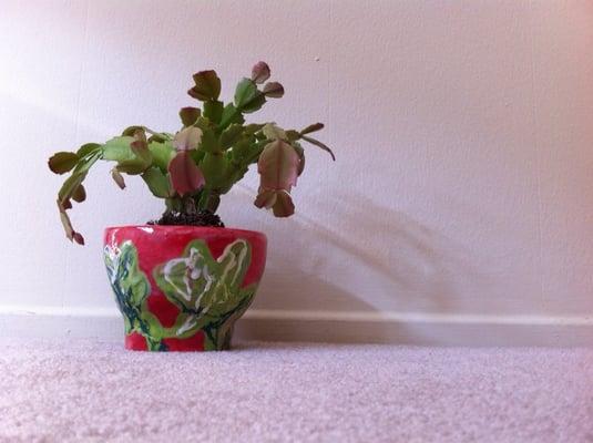 The pot we bought! :)