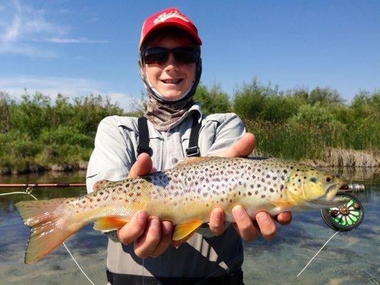 What a great brown trout!