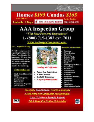 AAA Inspection Group Flyer