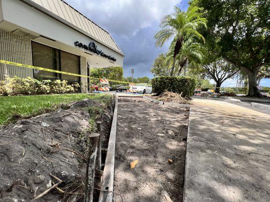 Commercial Concrete - Sidewalks being replaces due to root damage and trip hazard removal for ADA compliance in Davie, FL.