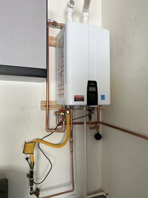 Navien Tankless Water Heater with built-in recirculation pump.