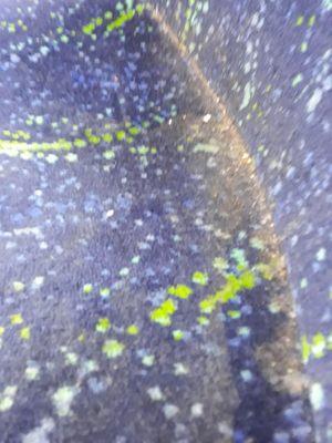 Caked-on dirt on the Dash.  VTA wins being dirtier than SamTrans, AC, and Caltrain. Magnification revealed no dust mites, so that's good.