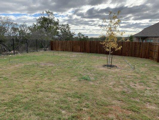 Pool build 2023-'24: backyard before pic Fall 2023